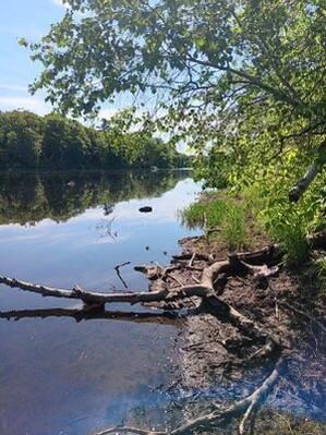 M12 L29 Houlton Road Baileyville ME 04694