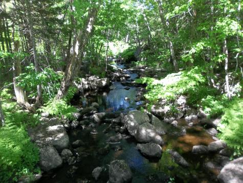 M12 L29 Houlton Road Baileyville ME 04694