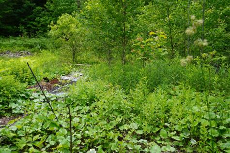 Lot 46.2 Ridge Road Concord Twp ME 04468