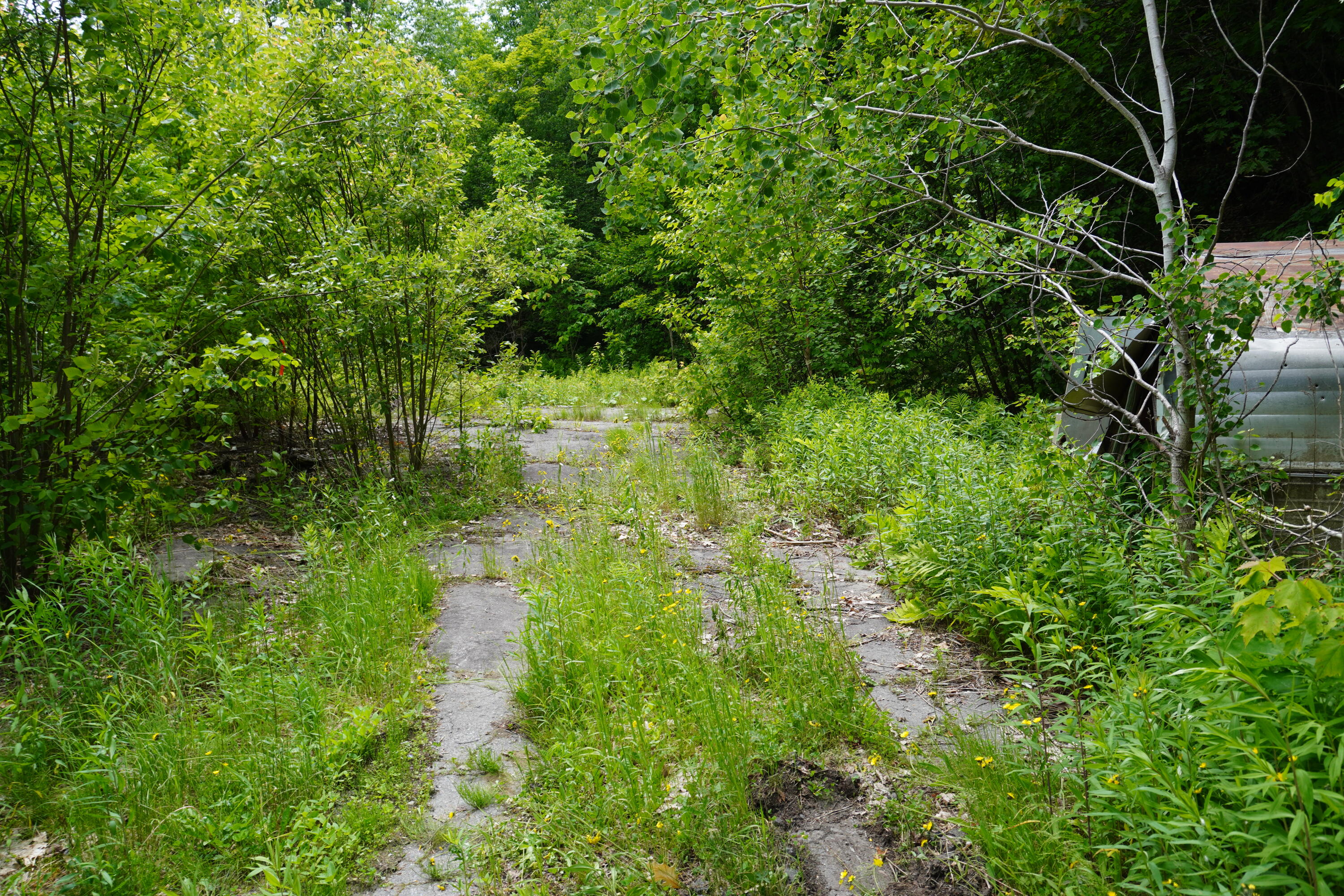 Lot 46.2 Ridge Road Concord Twp ME 04468