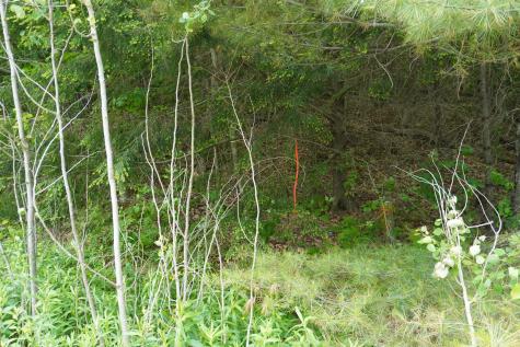 Lot 46.2 Ridge Road Concord Twp ME 04468