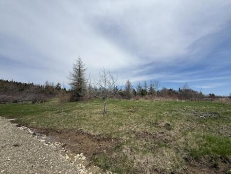 Lot 3 Holmes Bay Farms Road Whiting ME 04691