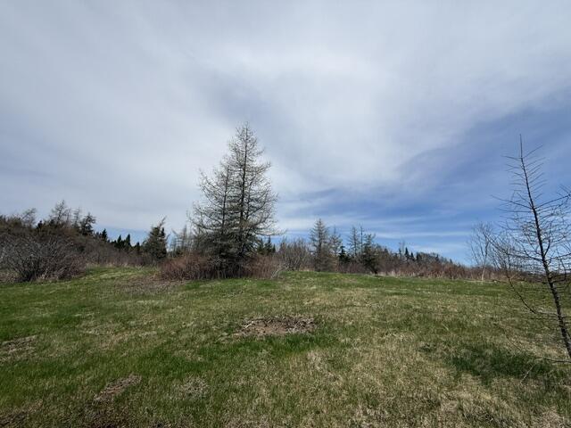 Lot 3 Holmes Bay Farms Road Whiting ME 04691