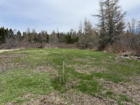 Lot 3 Holmes Bay Farms Road Whiting ME 04691