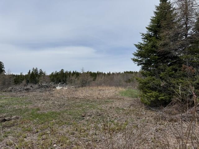 Lot 3 Holmes Bay Farms Road Whiting ME 04691