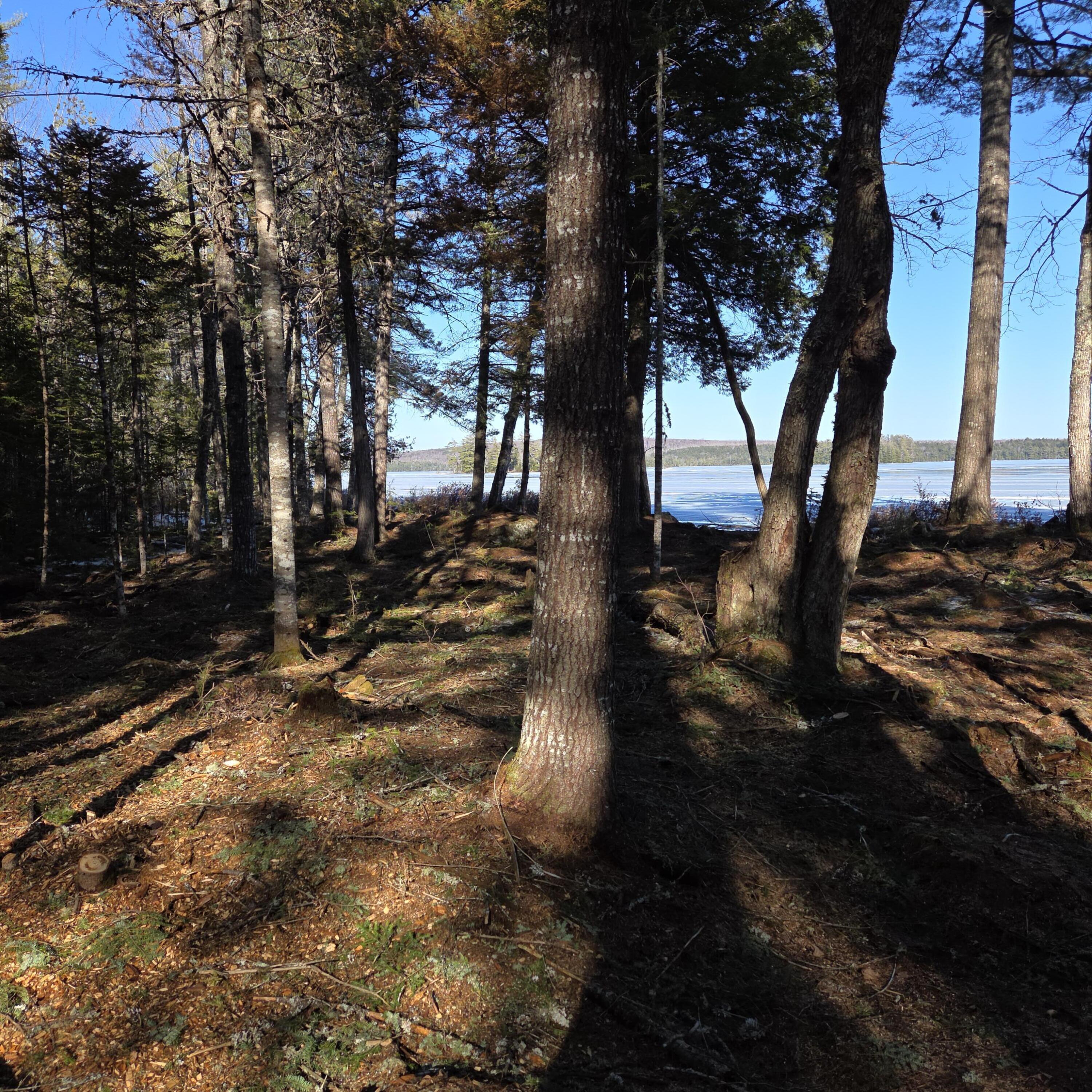 735 Mountain Road Seboeis Plt ME 04448