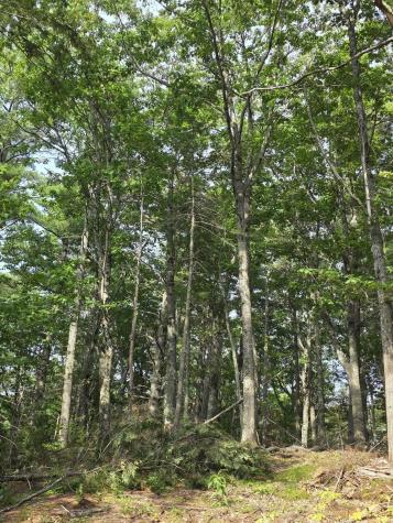 00 Pinnacle Road Liberty ME 04949