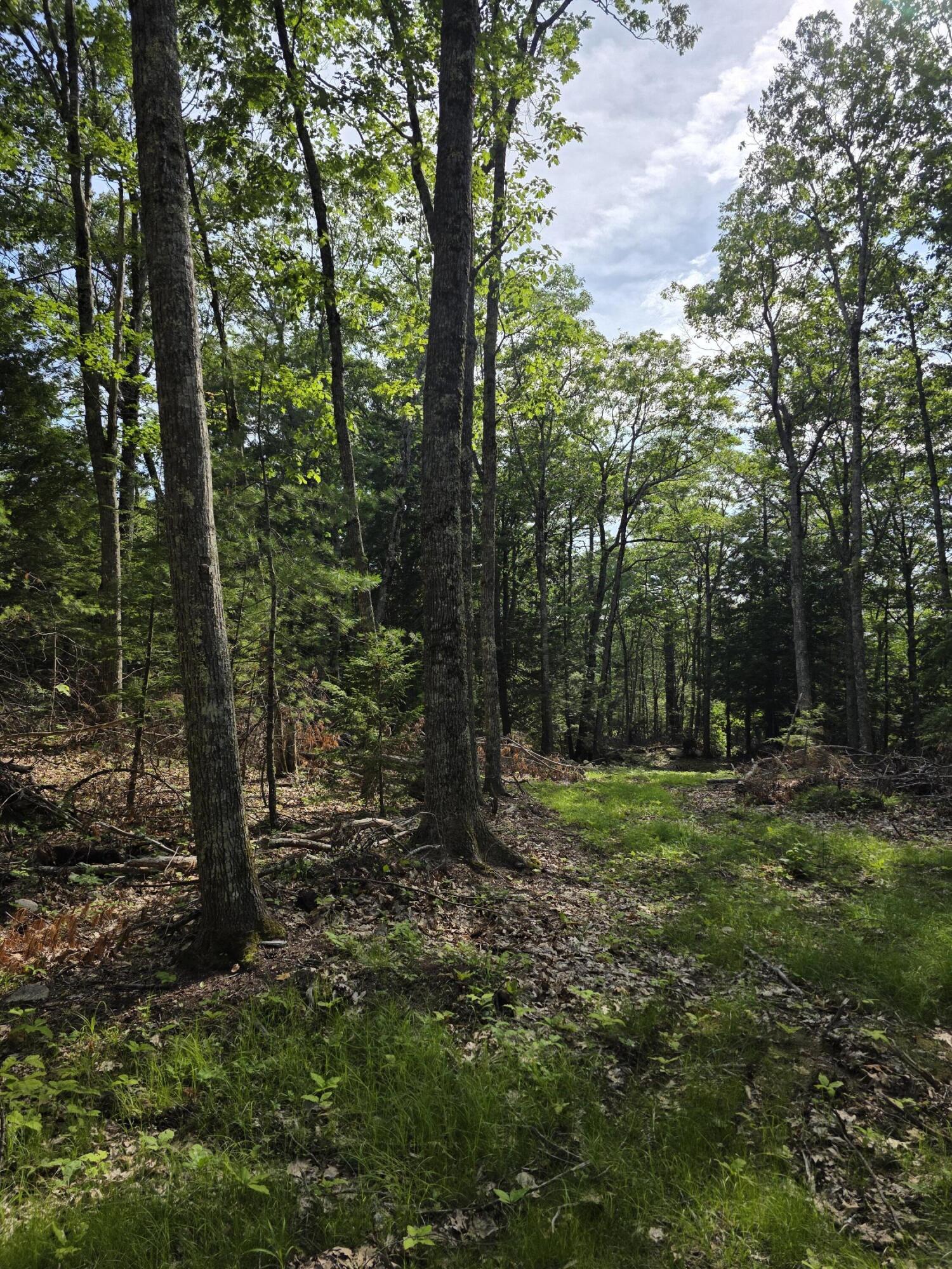 00 Pinnacle Road Liberty ME 04949