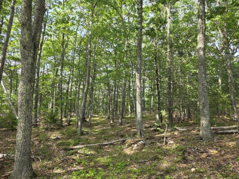 00 Pinnacle Road Liberty ME 04949