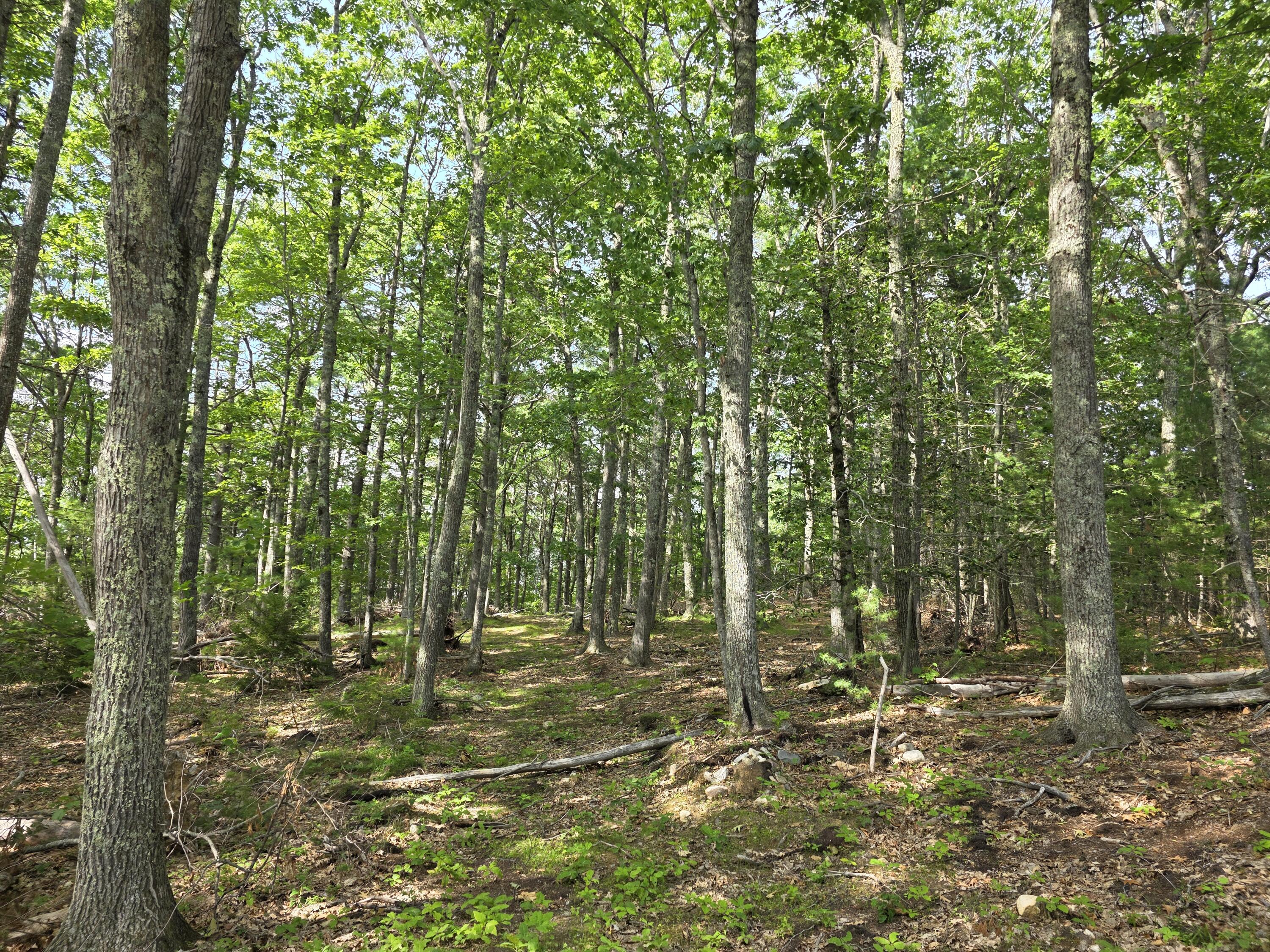 00 Pinnacle Road Liberty ME 04949