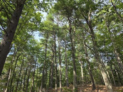 00 Pinnacle Road Liberty ME 04949