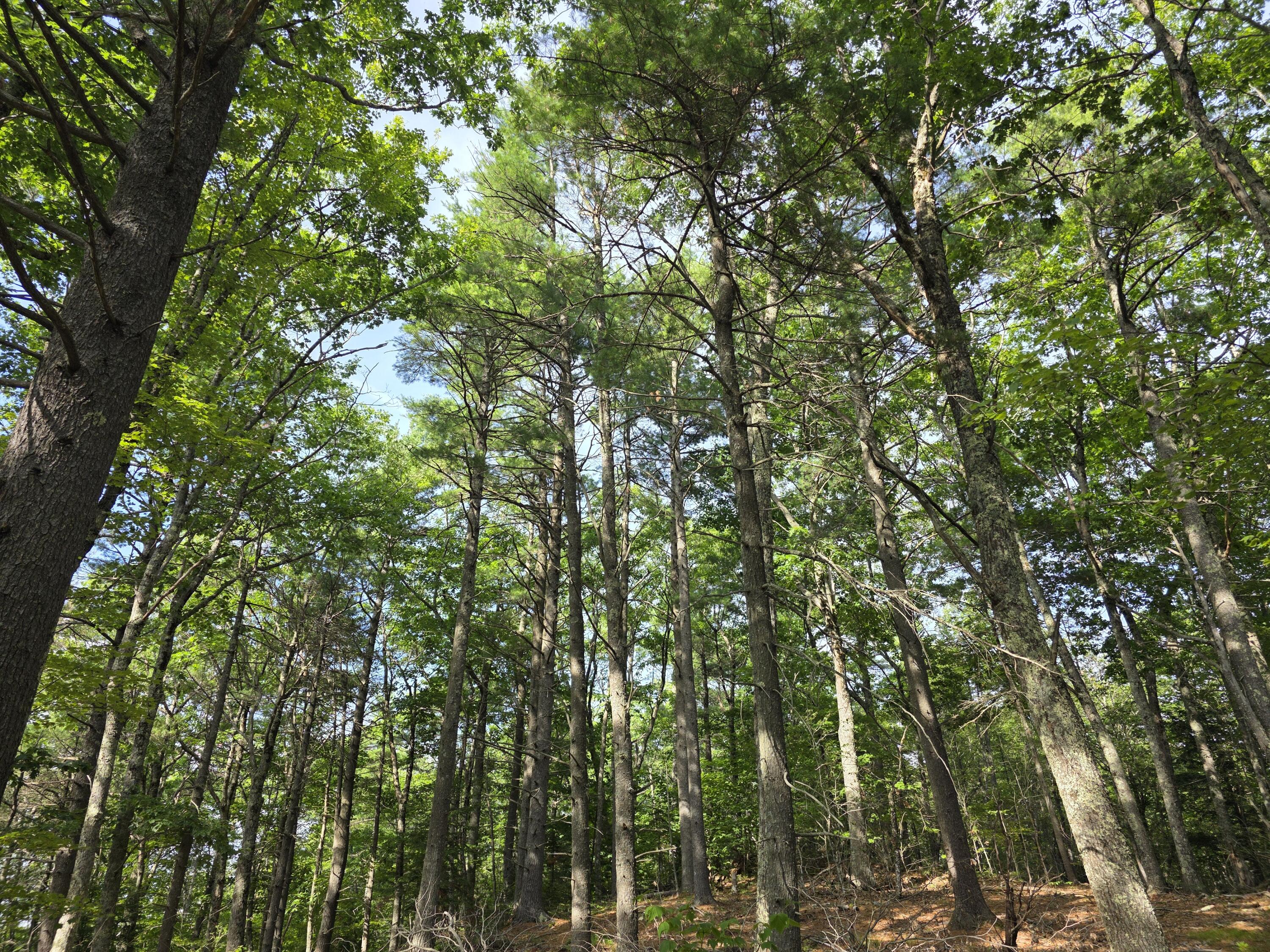 00 Pinnacle Road Liberty ME 04949