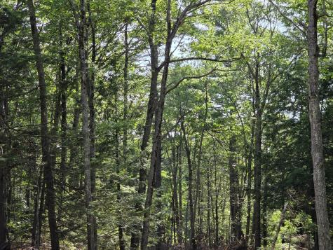 00 Pinnacle Road Liberty ME 04949