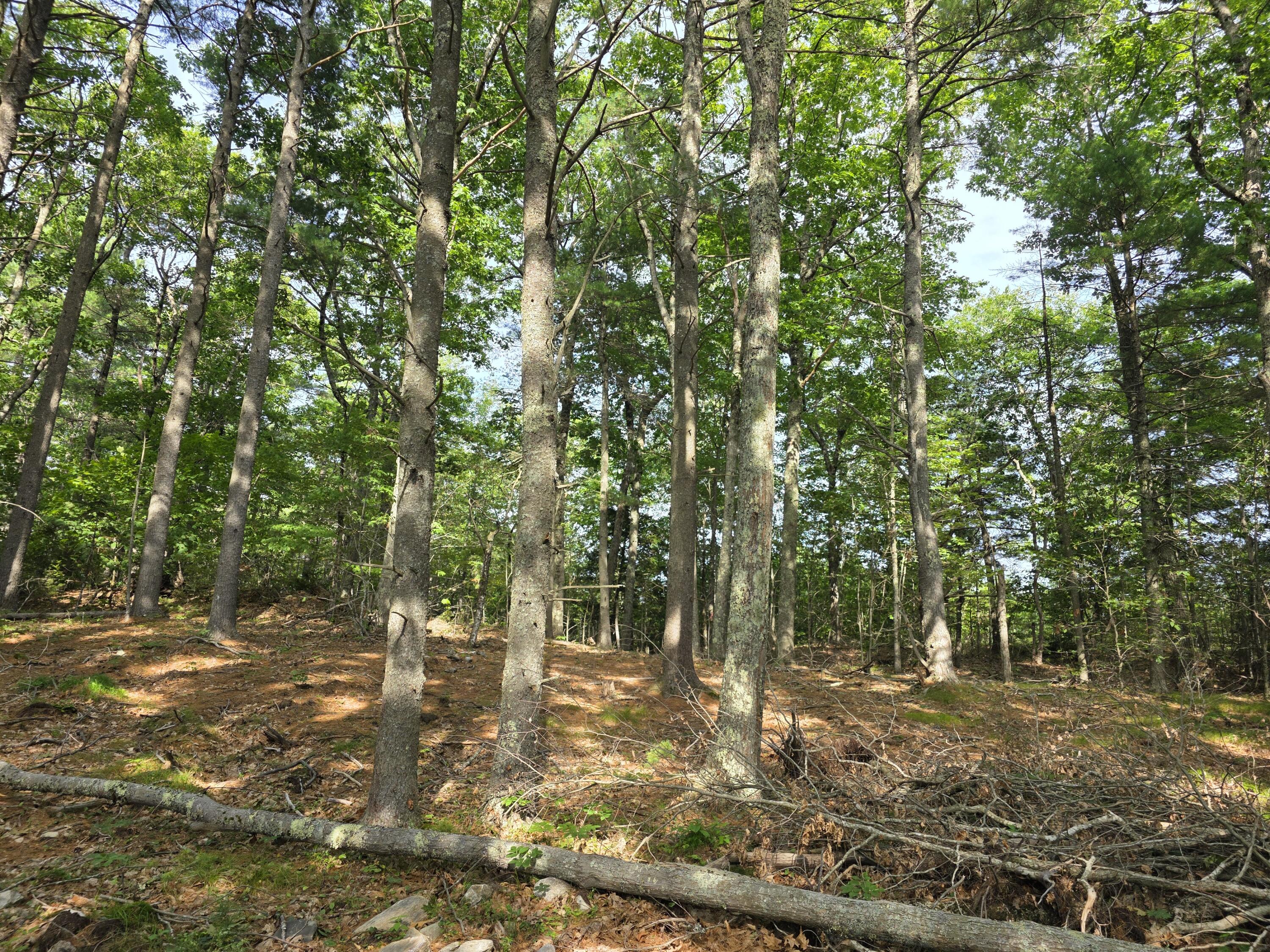 00 Pinnacle Road Liberty ME 04949