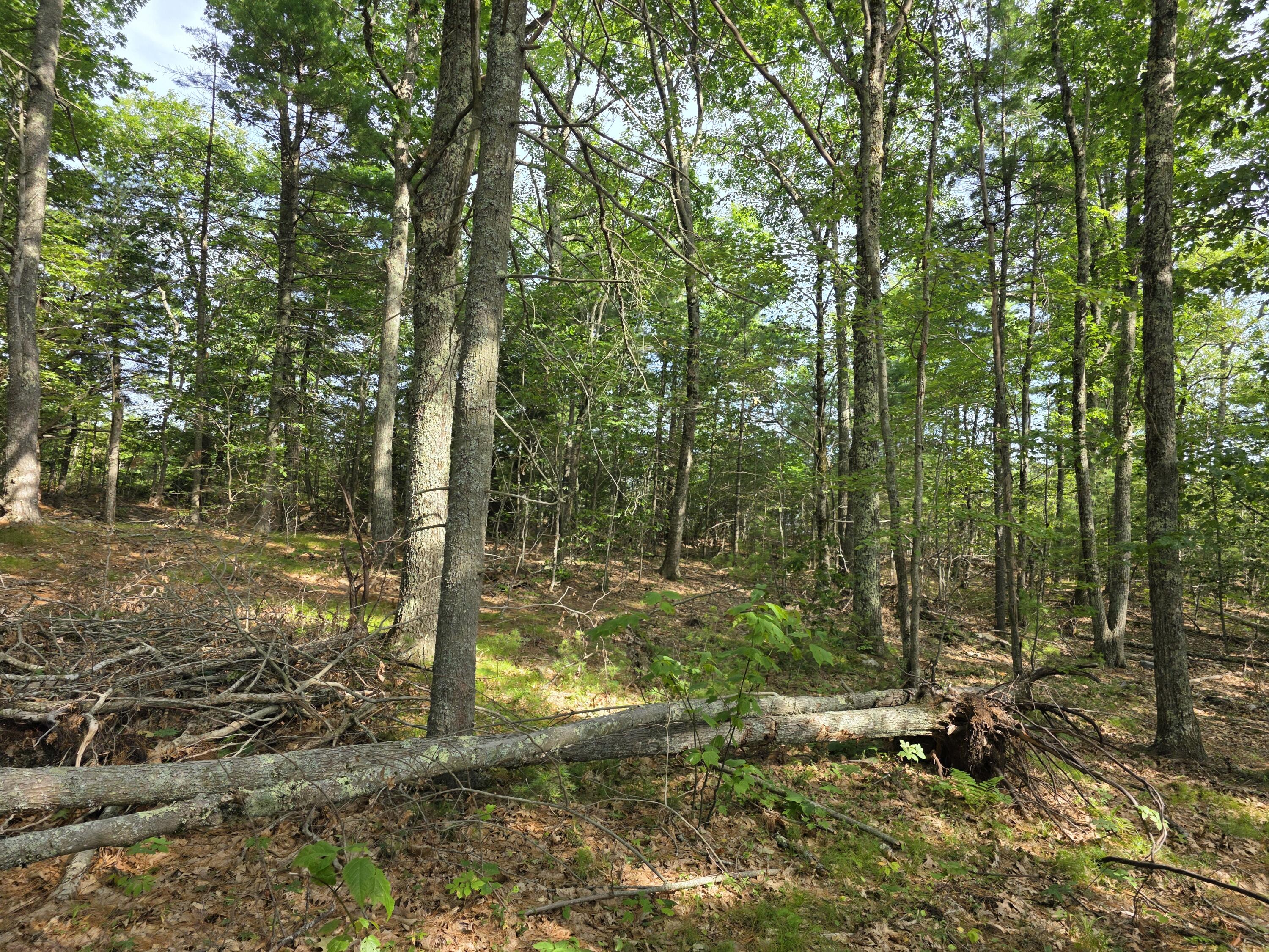 00 Pinnacle Road Liberty ME 04949