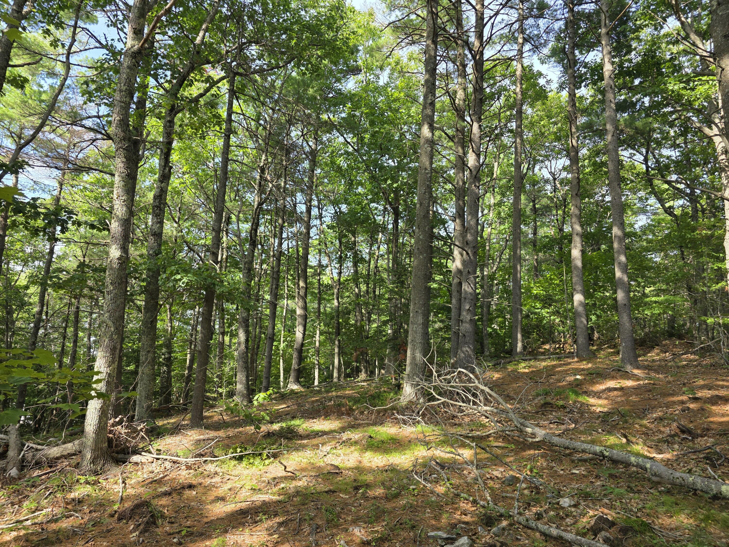 00 Pinnacle Road Liberty ME 04949