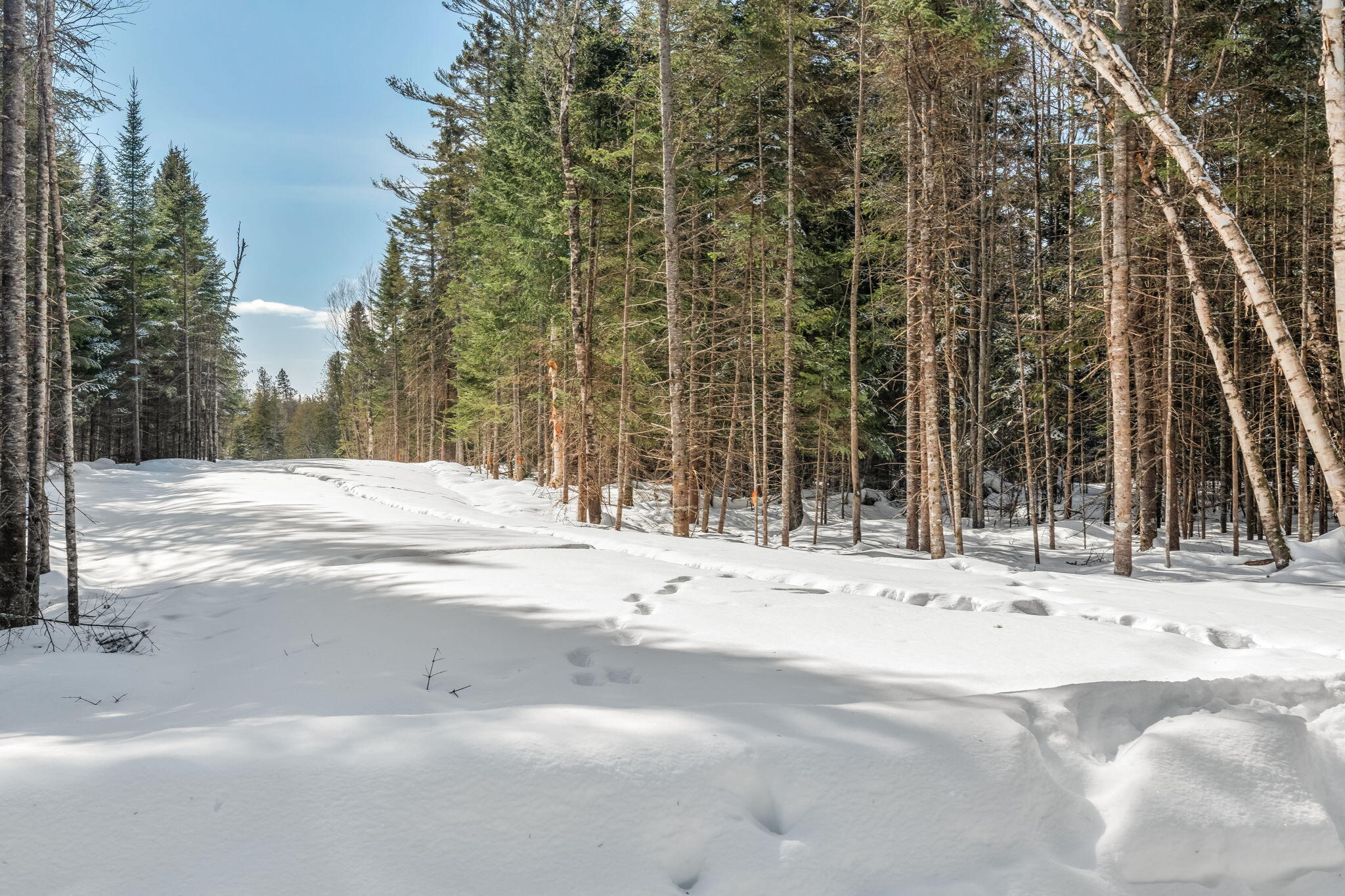 27-12 Winter Road Rangeley ME 04970
