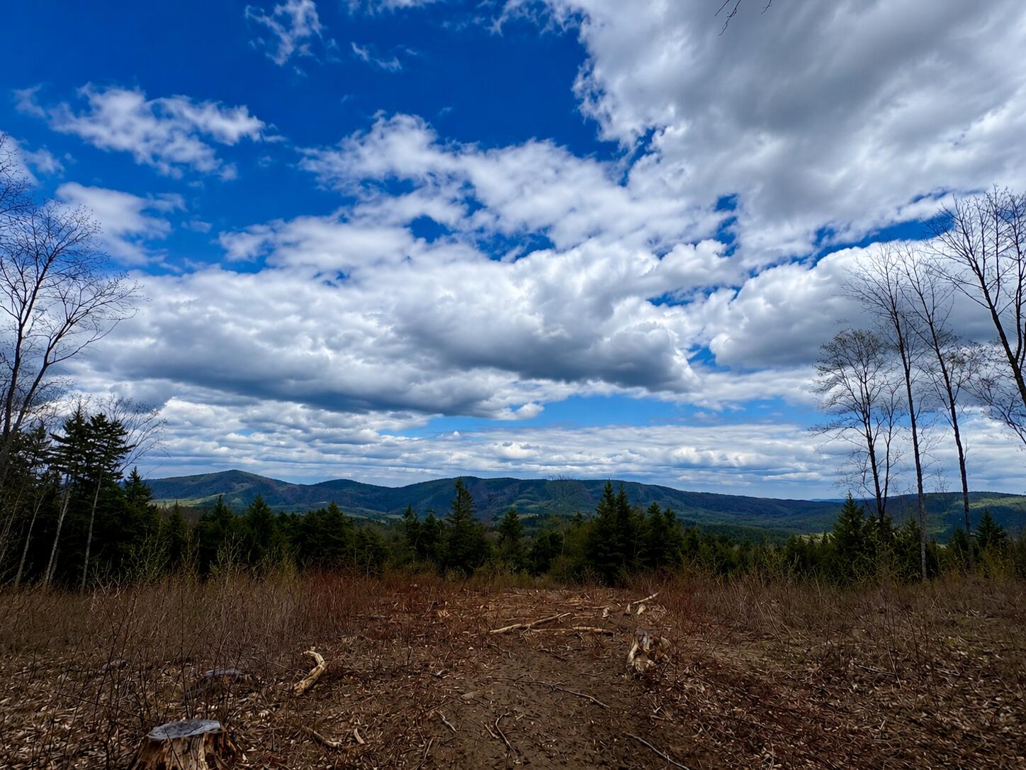 Lot #11 Jordan Heights Road Cornish ME 04020