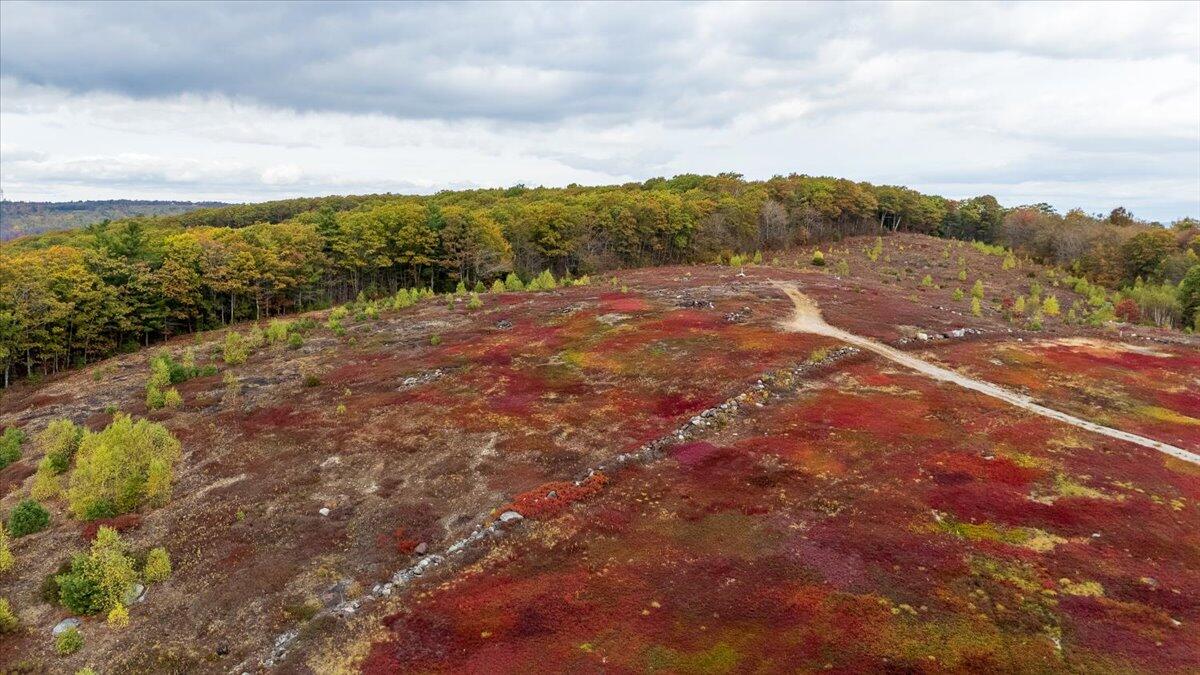 562 Beech Hill Road Northport ME 04849