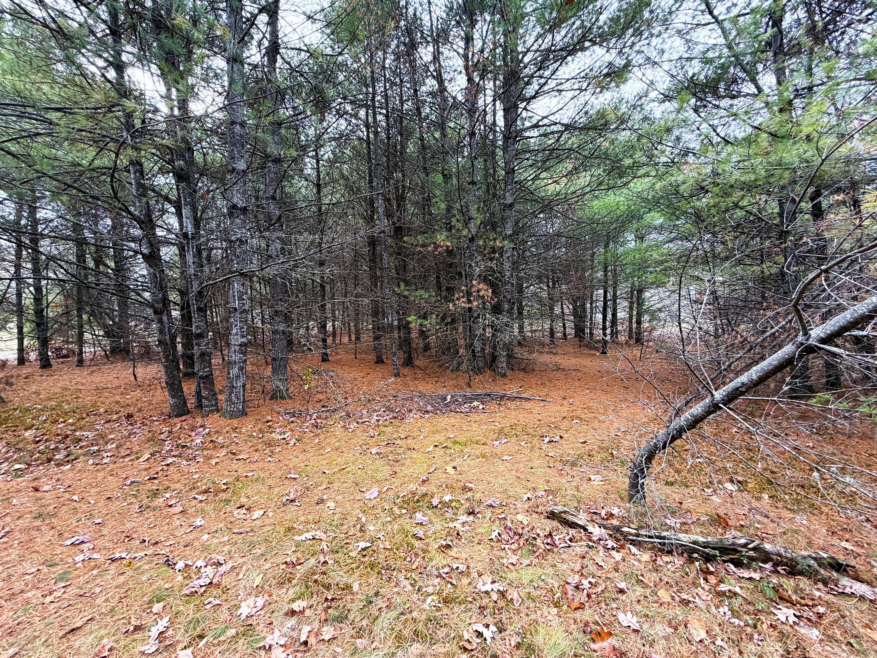 Lot 4 Emery Road Parsonsfield ME 04047