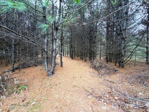 Lot 4 Emery Road Parsonsfield ME 04047