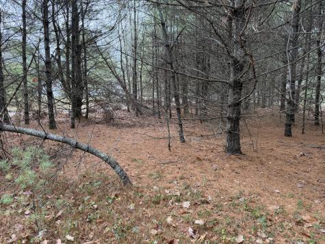 Lot 4 Emery Road Parsonsfield ME 04047