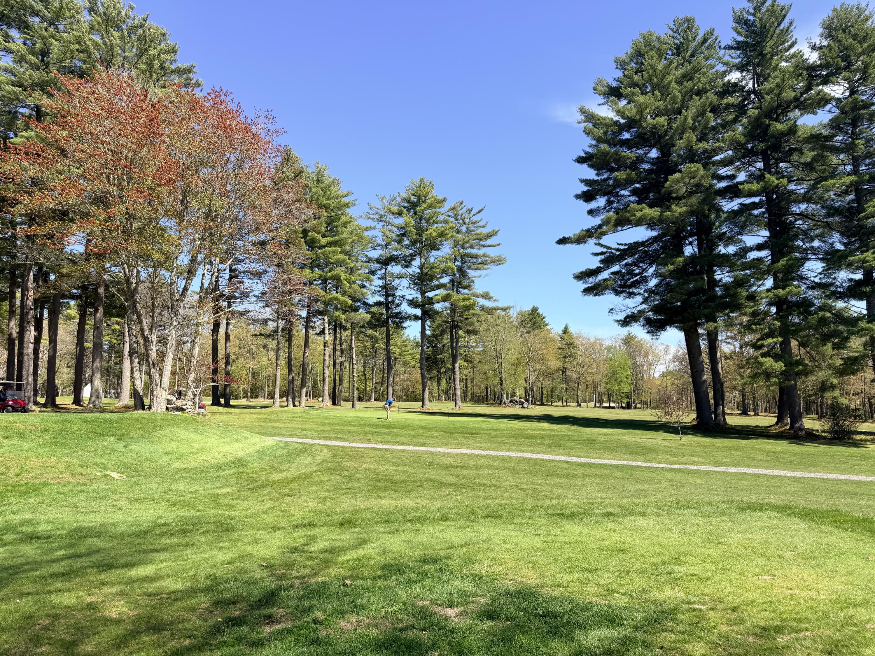Lot 4 Emery Road Parsonsfield ME 04047