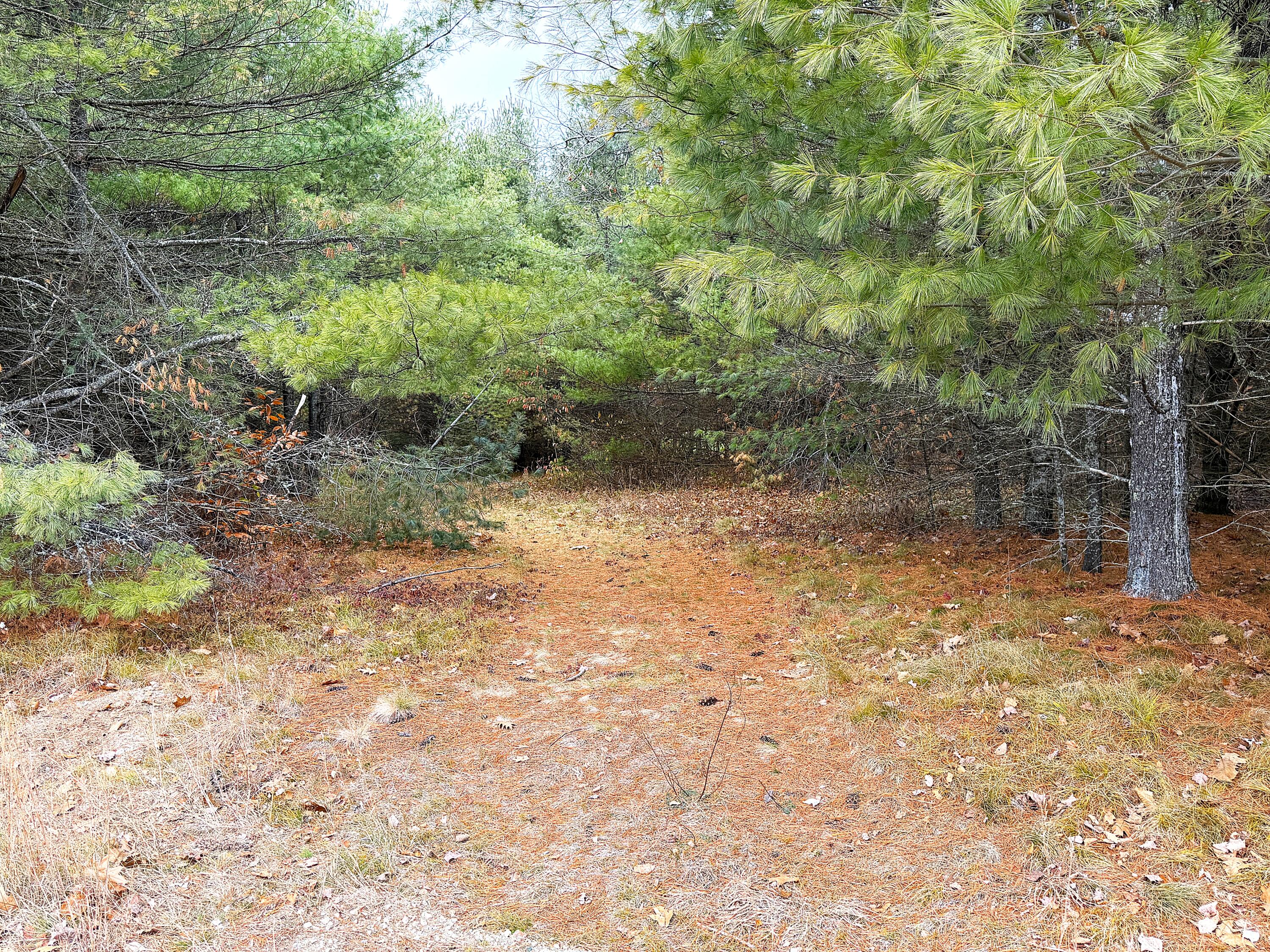Lot 4 Emery Road Parsonsfield ME 04047