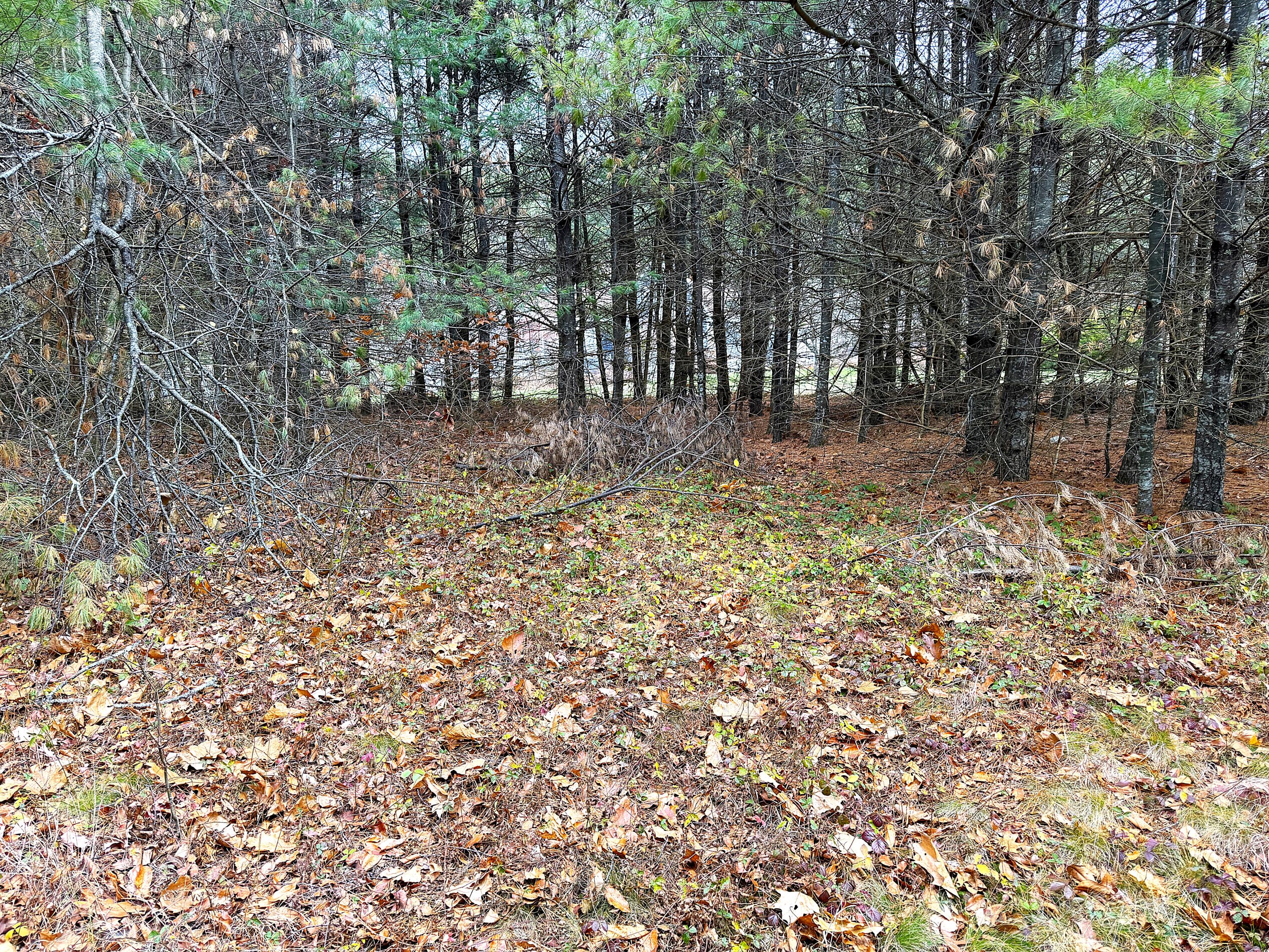 Lot 4 Emery Road Parsonsfield ME 04047
