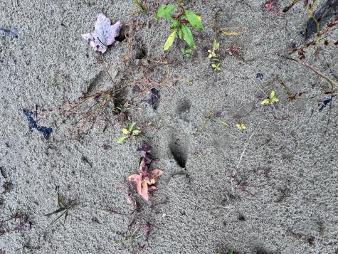 0 Graham Way Ellsworth ME 04605