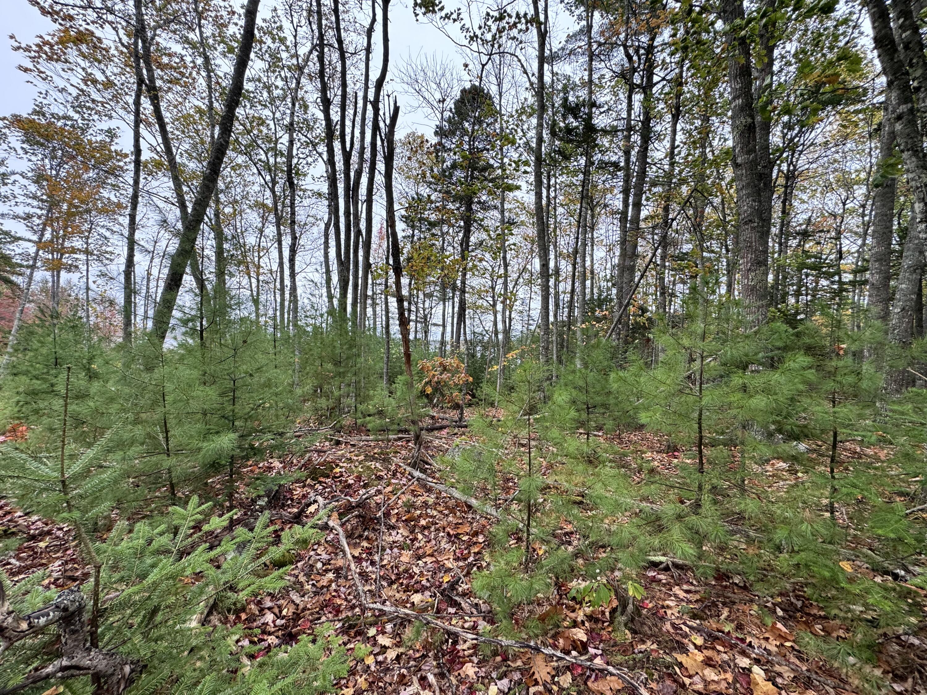 0 Graham Way Ellsworth ME 04605