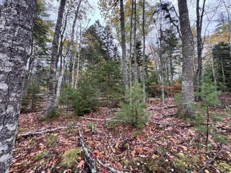 0 Graham Way Ellsworth ME 04605