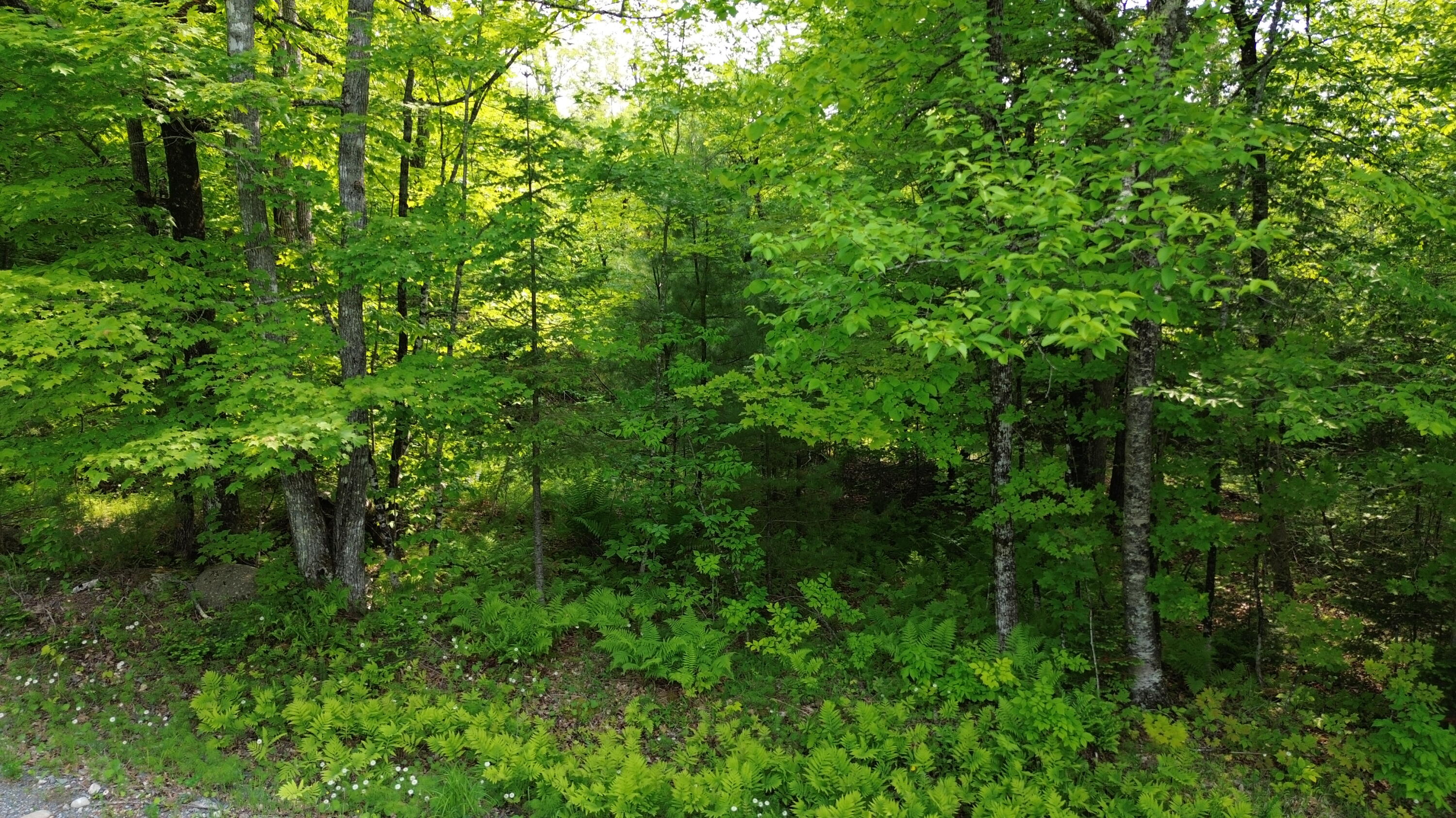 121 Parkman Hill Road Solon ME 04979