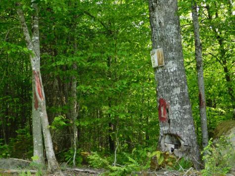 121 Parkman Hill Road Solon ME 04979