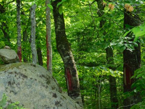 121 Parkman Hill Road Solon ME 04979