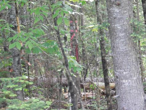 121 Parkman Hill Road Solon ME 04979