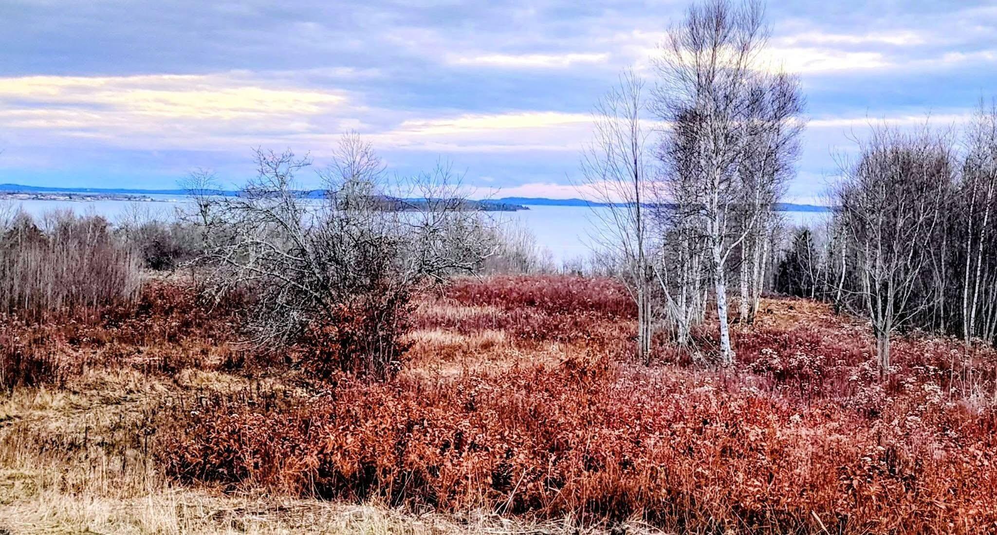 Lot 52 Us- Route 1 Robbinston ME 04668