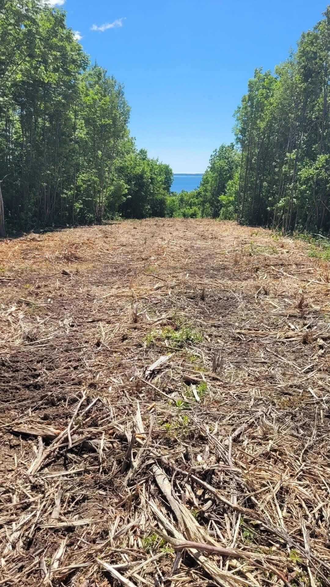 Lot 52 Us- Route 1 Robbinston ME 04668