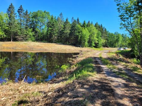 Lot 52 Us- Route 1 Robbinston ME 04668