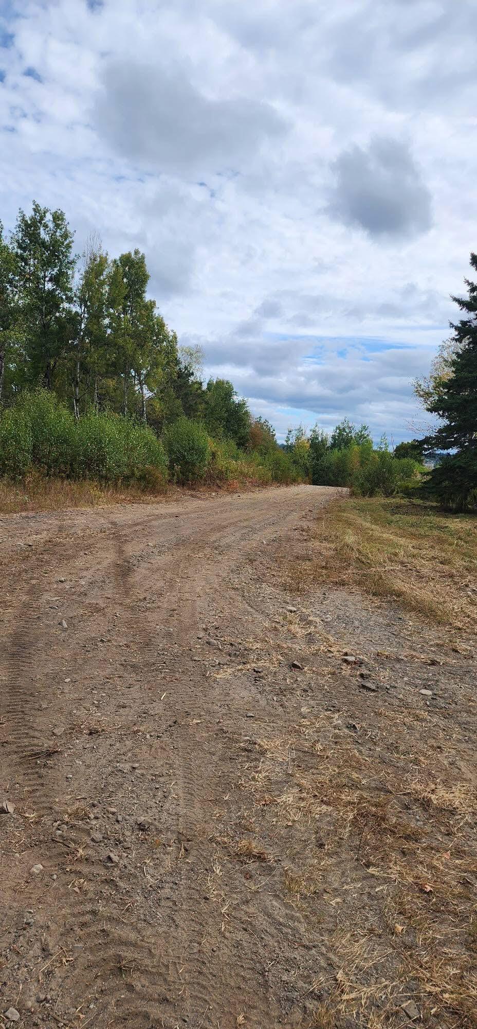 Lot 52 Us- Route 1 Robbinston ME 04668