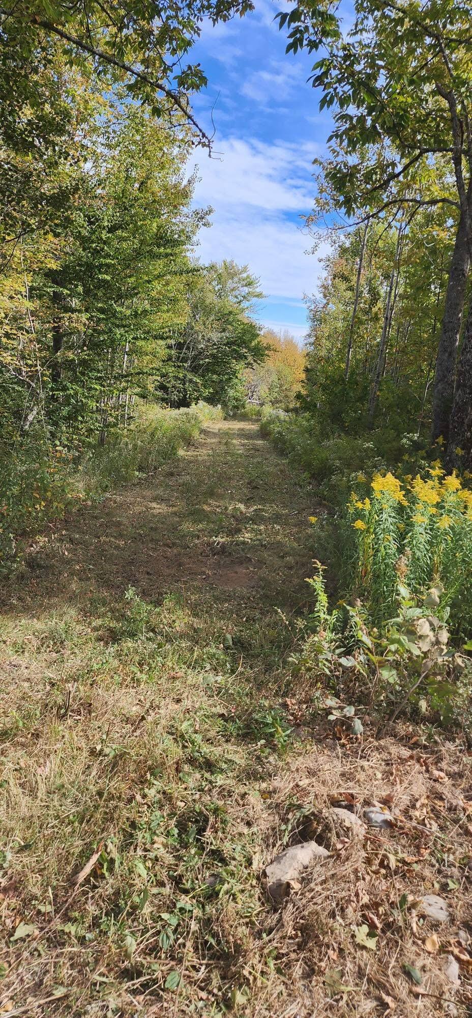 Lot 52 Us- Route 1 Robbinston ME 04668