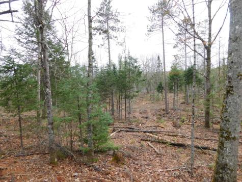 Lot # 4 Spring Bridge Road Greenbush ME 04418