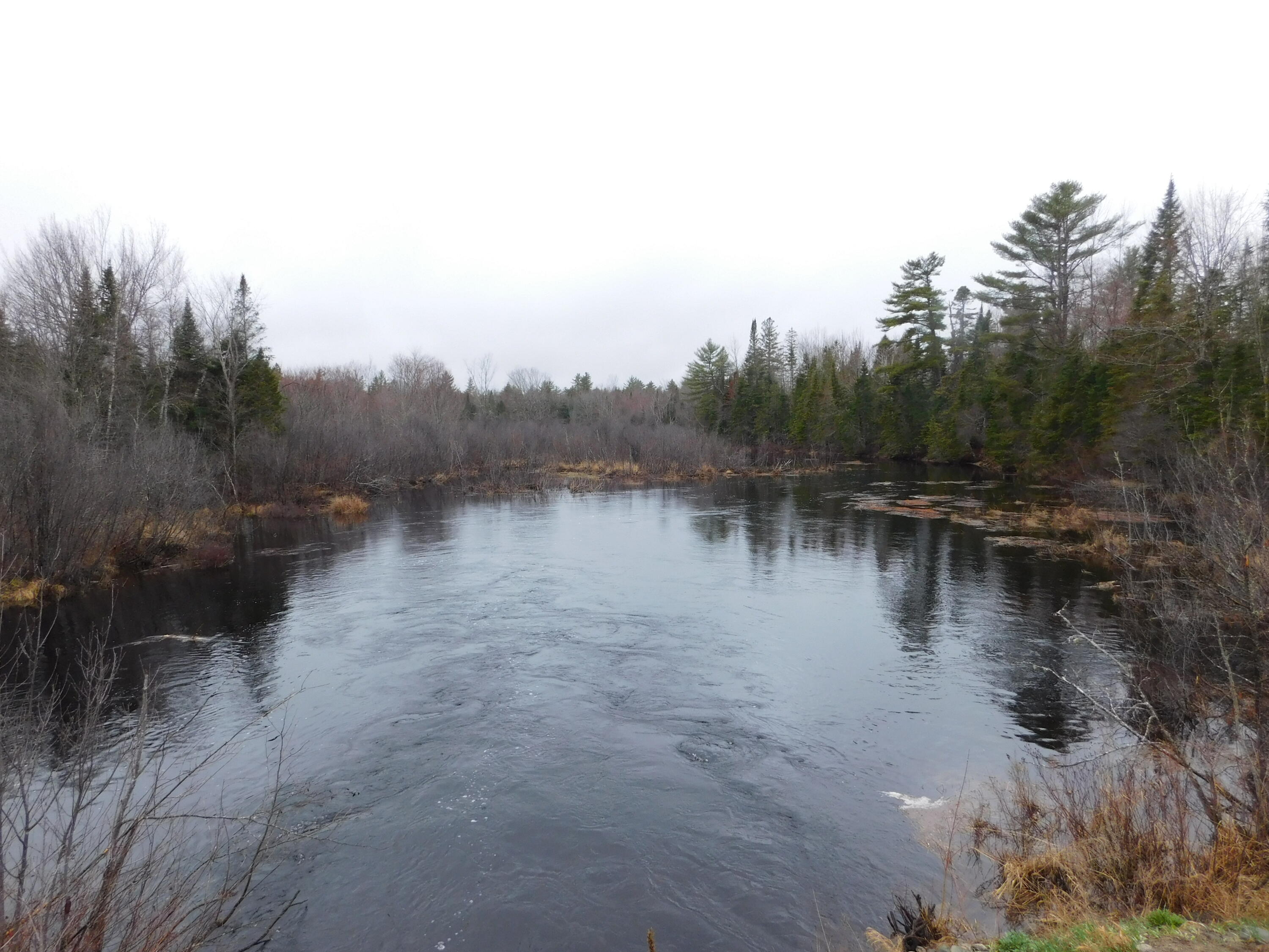 Lot # 4 Spring Bridge Road Greenbush ME 04418