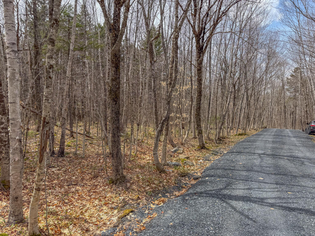 3 Rockys Road Greenville ME 04441