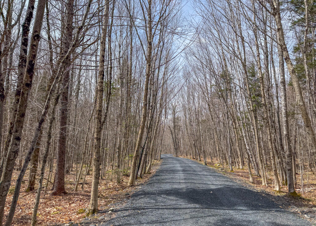3 Rockys Road Greenville ME 04441