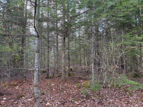 0 N Range Road N Blue Hill ME 04614