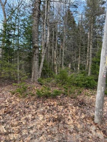 0 N Range Road N Blue Hill ME 04614