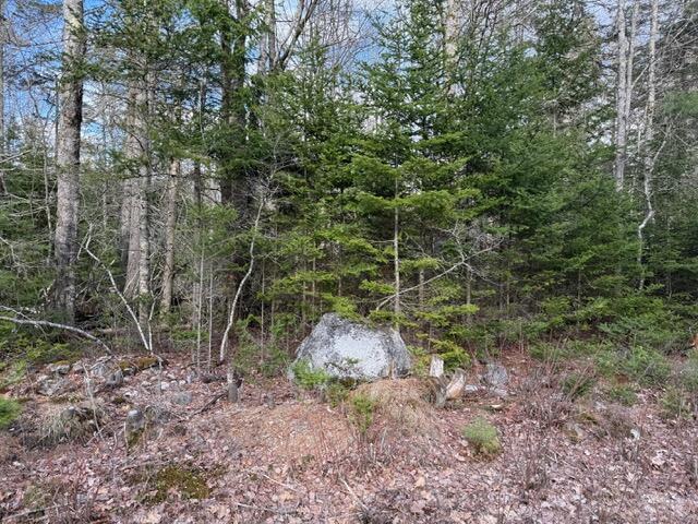 0 N Range Road N Blue Hill ME 04614