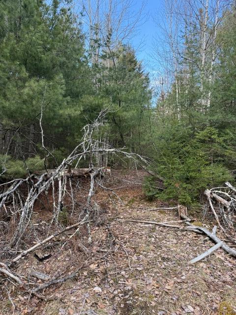 0 N Range Road N Blue Hill ME 04614