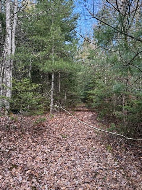 0 N Range Road N Blue Hill ME 04614